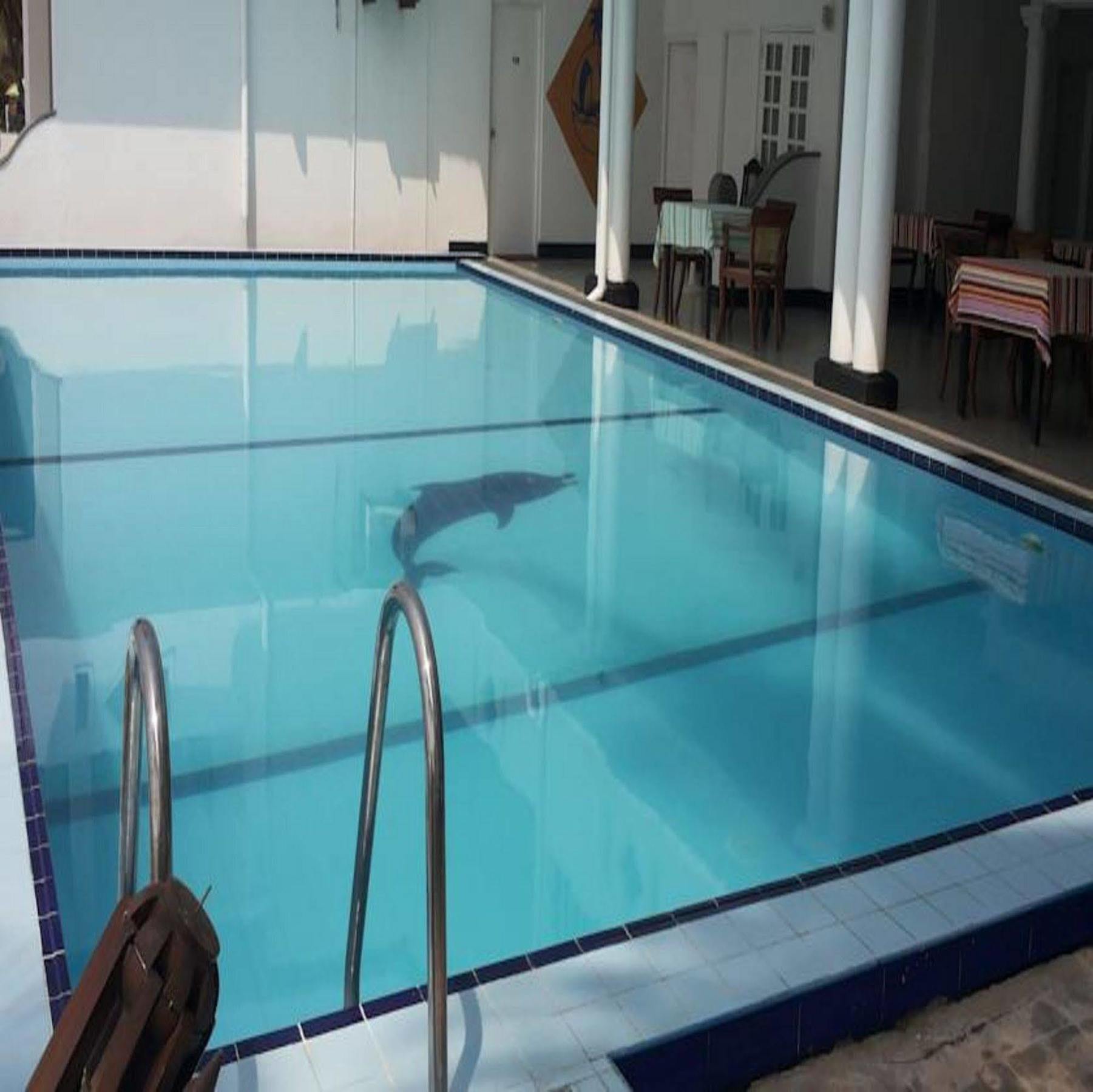 Ap Nippon Beach Hikkaduwa Ngoại thất bức ảnh